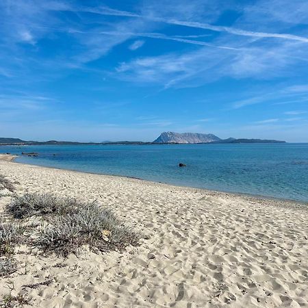 Iss Travel, San Teodoro 1 - 100 M From Cala D'Ambra Beach ภายนอก รูปภาพ