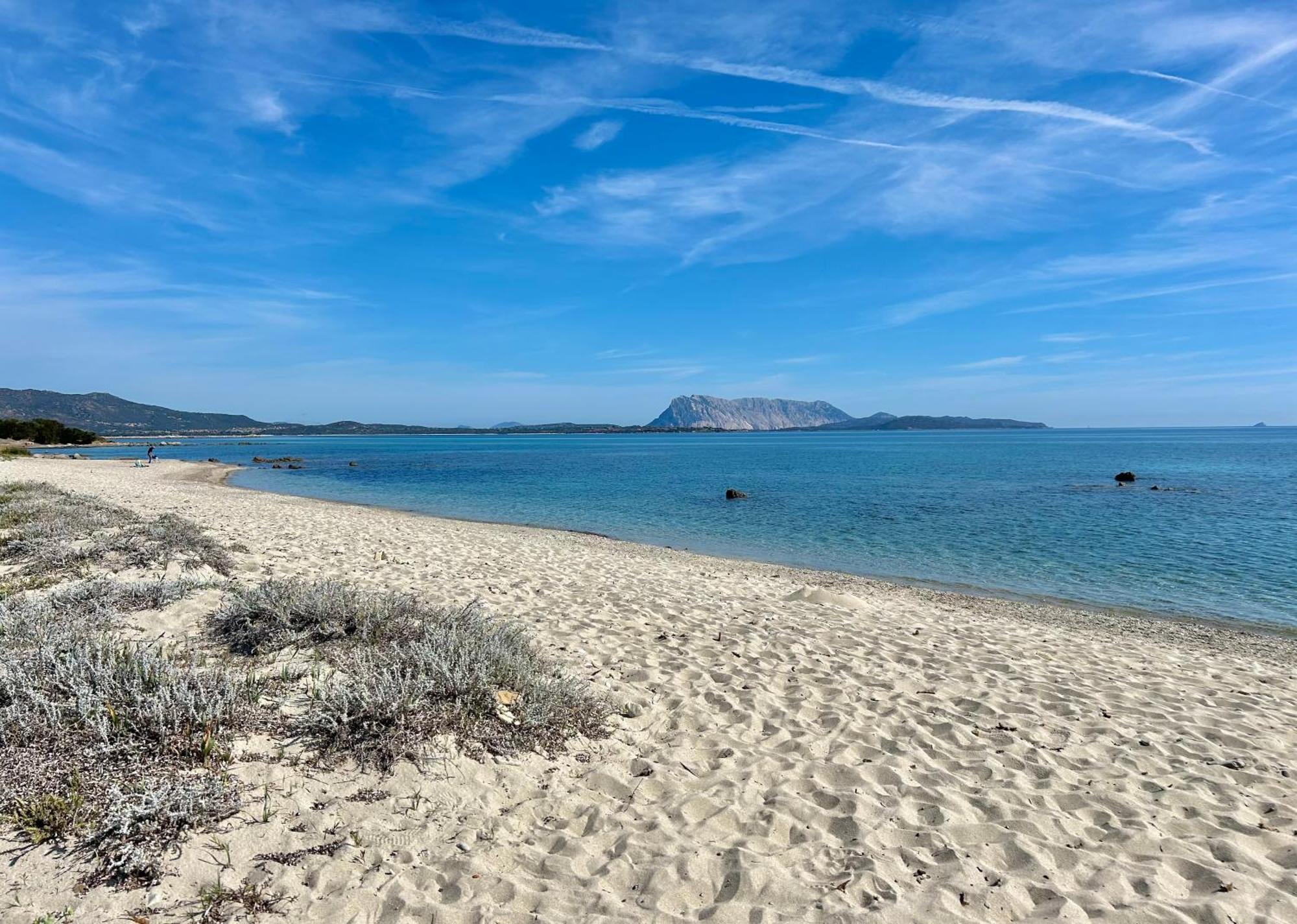 Iss Travel, San Teodoro 1 - 100 M From Cala D'Ambra Beach ภายนอก รูปภาพ